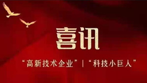 Sanhe Lankwitzer Awarded &ldquo;High-Tech Enterprise&rdquo; and &ldquo;Little Giant of Science and Technology&rdquo;