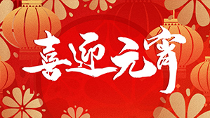 亮克威泽祝您元宵节快乐，万事胜意！