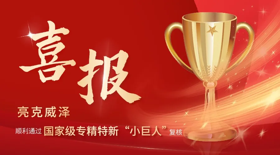 实力认证 | 亮克威泽顺利通过国家专精特新&ldquo;小巨人&rdquo;复核